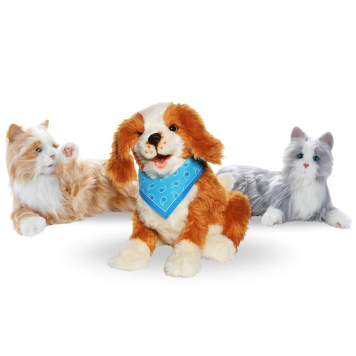 Robotkjæledyrpakke - to katter og én hund