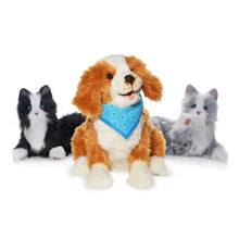 Last inn bildet i Galleri-visningsprogrammet, Robotkjæledyrpakke - to katter og én hund